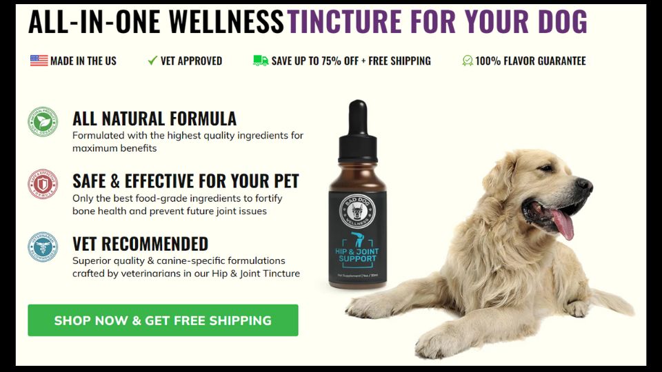 get tincture for your dog