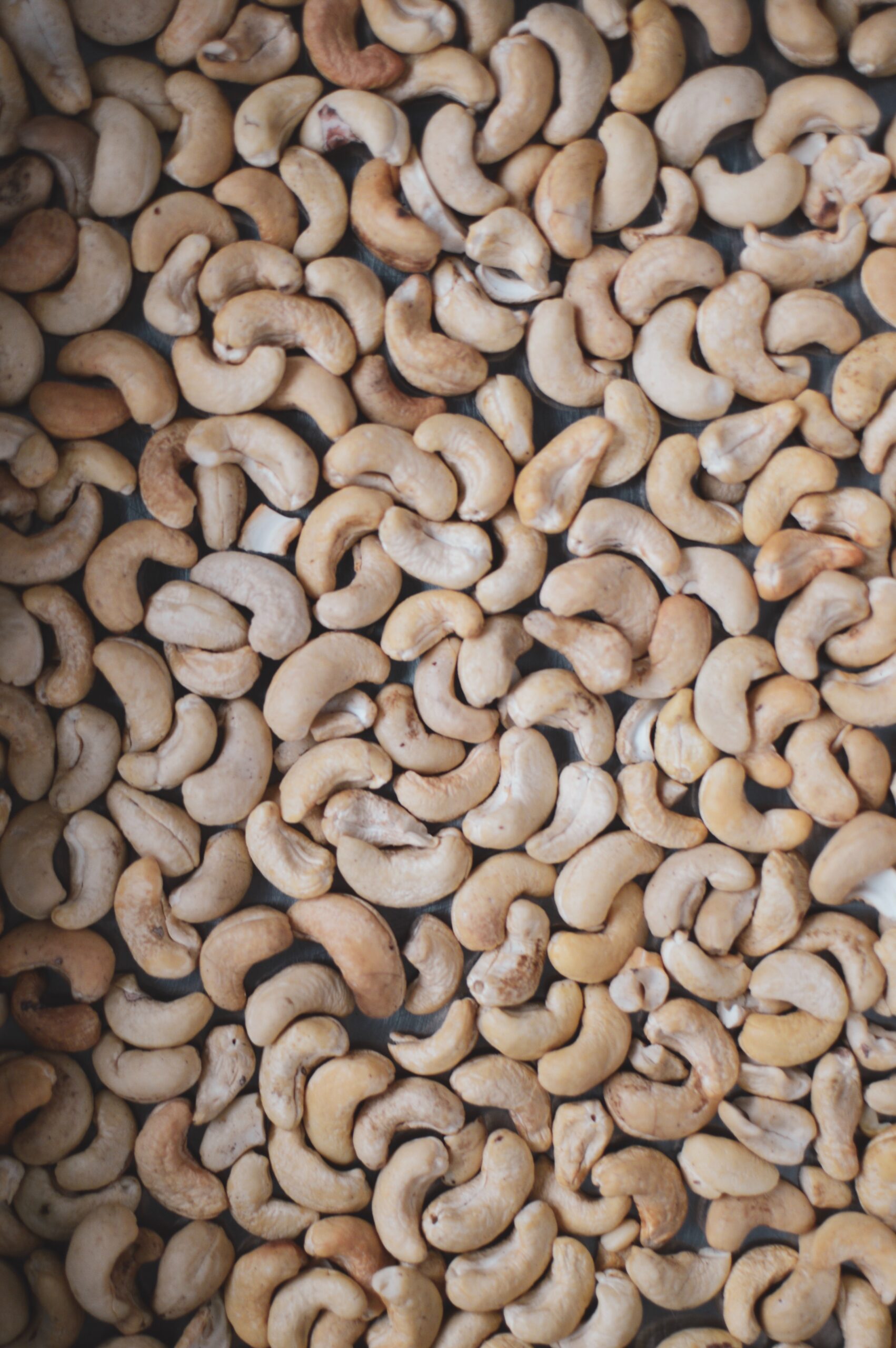 Are Cashews Good For Dogs?
